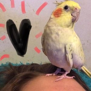 Meet your Posher, Nicki